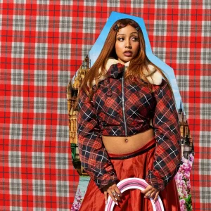 Pink Noise - PinkPantheress Type Beat